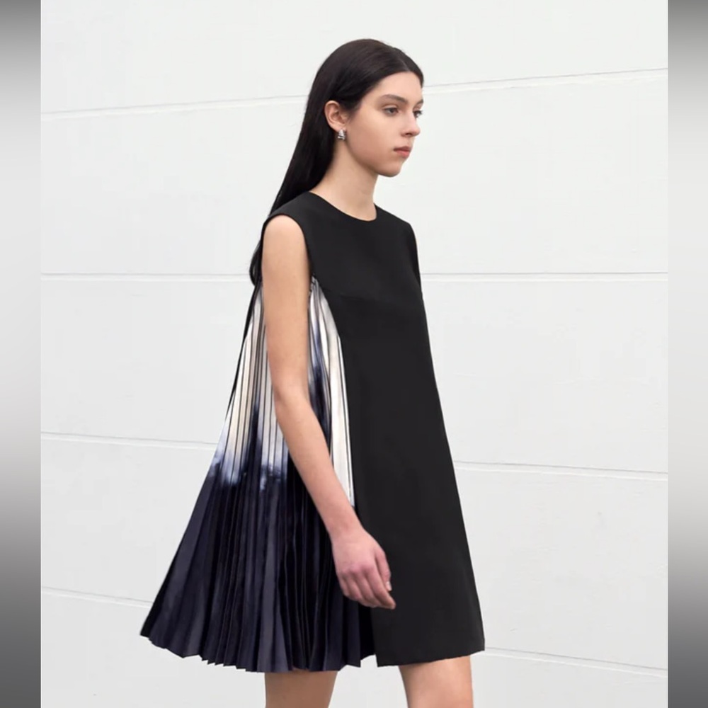 Side Printed Pleated Shift Dress